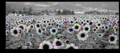 Computer Vision Methods course 2020 Computer Vision Methods course 2020